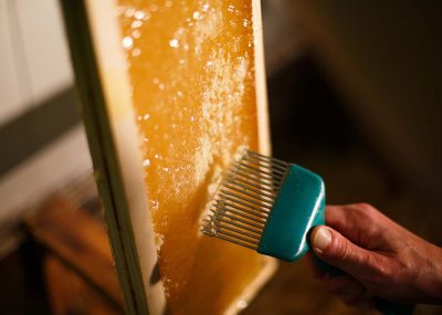 img-1190x840-faq-synergia-apiculture-06