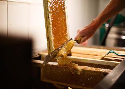 img-1190x840-faq-synergia-apiculture-07