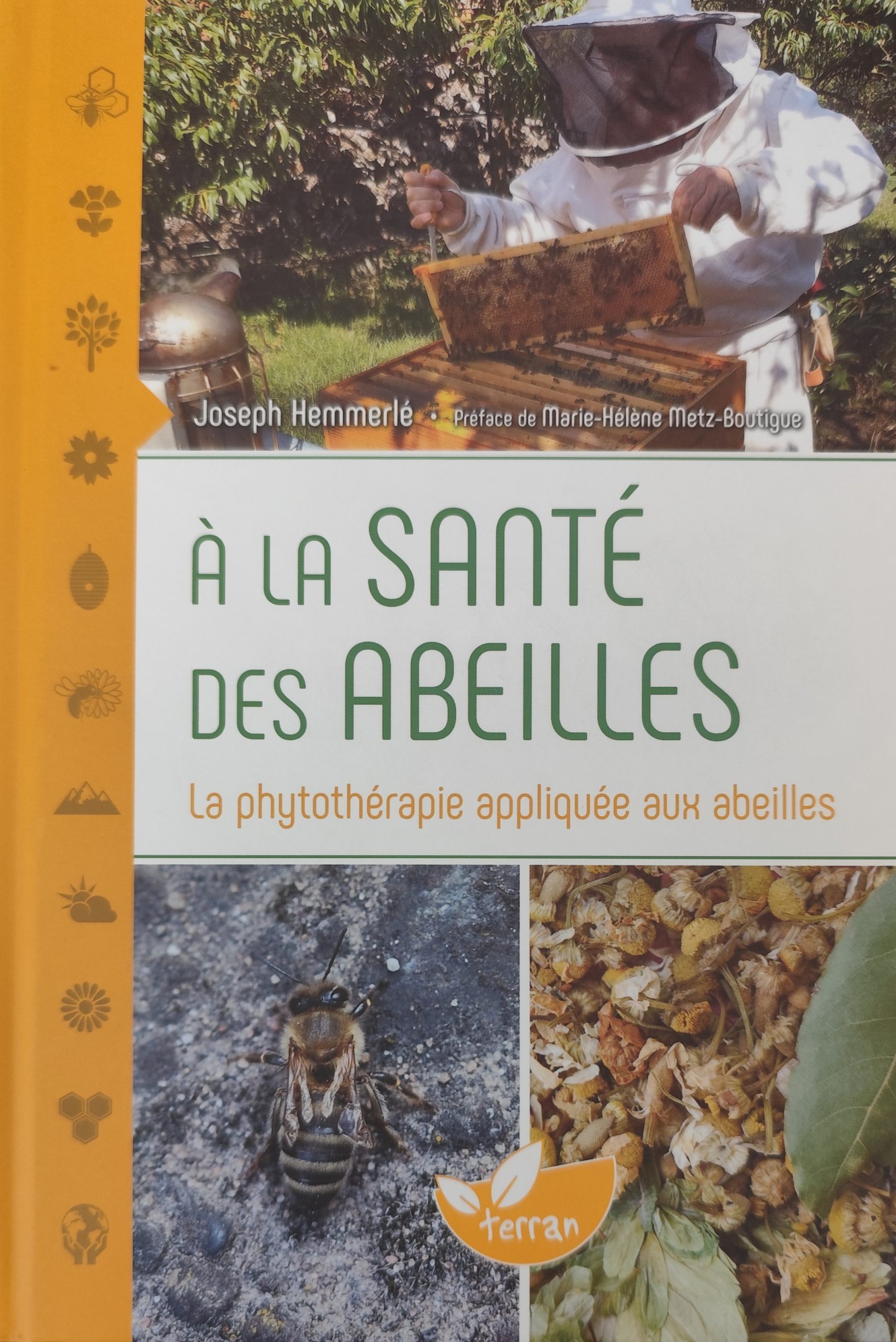 IMG_20260624_163423 JOSEPH HEMMERLÉ- À LA SANTÉ DES ABEILLES – Image 1
